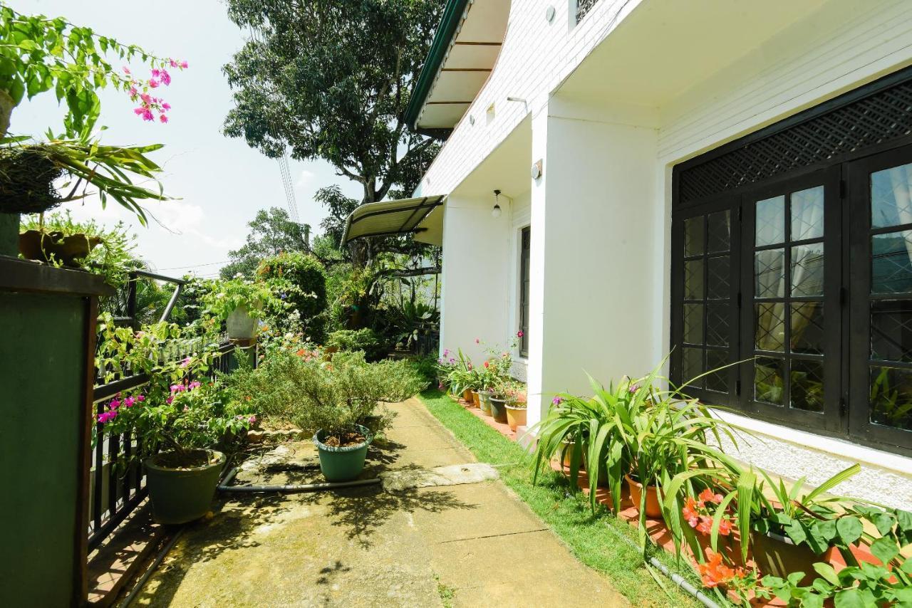 Amigo'S Home Stay Kandy Ngoại thất bức ảnh